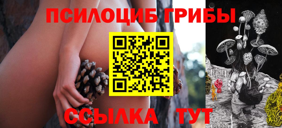 Обь  Псилоцибиновые грибы GOLDEN TEACHER  Вход с VPN  Галлюциногенные грибы мухоморы 